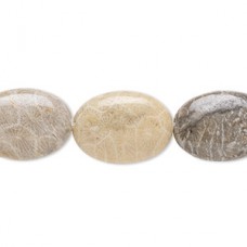 18x13mm Natural Fossil Coral Oval Beads - strand