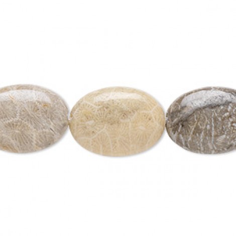 18x13mm Natural Fossil Coral Oval Beads