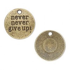 20mm Ant Brass "Never Never Give Up" Charm